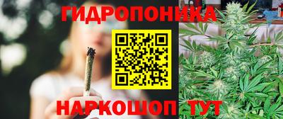бошки Пенза